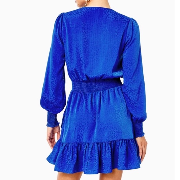 NWOT Lilly Pulitzer Cristiana Long Sleeve Dress - Ikat Blue Leopard Size 14 - Picture 7 of 7